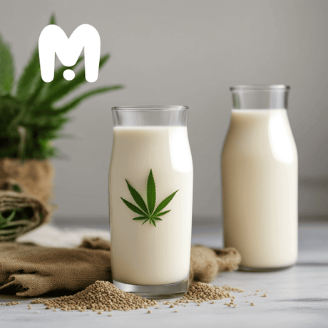 shelf life of hemp milk with 2 glass milk