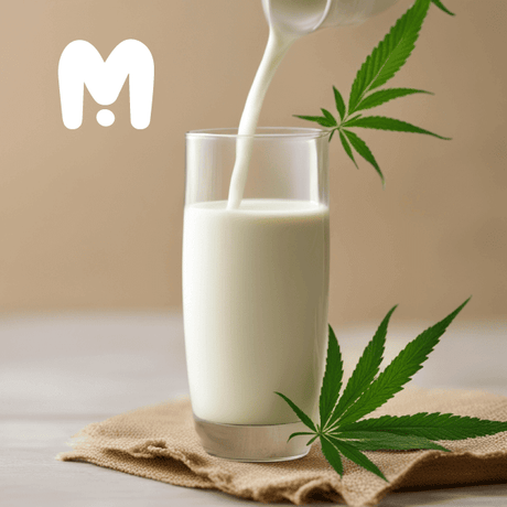 cooking hemp milk  with 1 glass milk