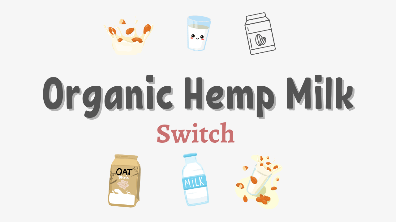 Why You Should Switch to Organic Hemp Milk Today