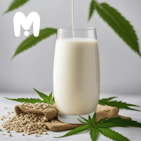 hemp milk benefits for skin with 1 glass hemp milk